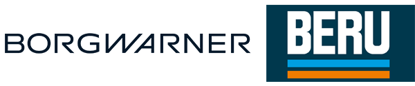 BorgWarner (BERU)