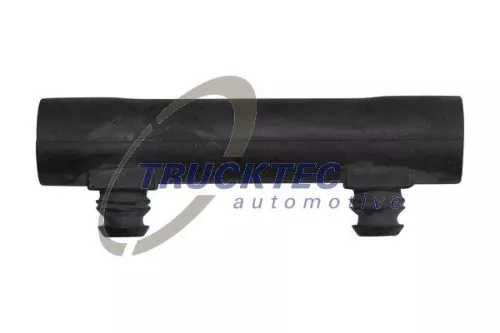 Hose, cylinder head cover ventilation