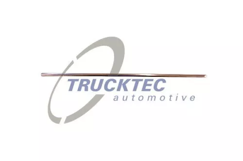 Trim/Protection Strip, radiator grille