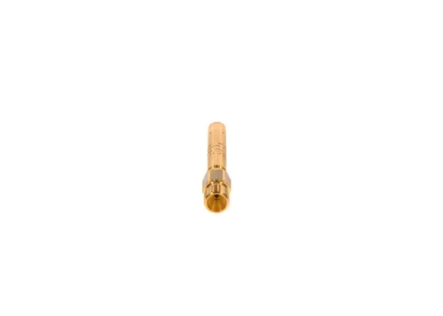 BOSCH Injector (0437502047)