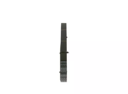 BOSCH V-Ribbed Belt (1987946282)