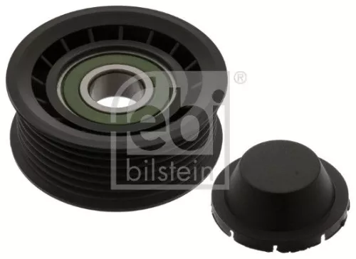 1x Deflection/Guide Pulley, V-ribbed belt