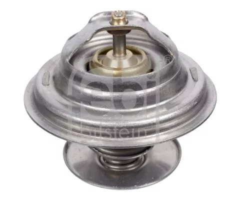 1x Thermostat, coolant