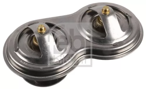1x Thermostat, coolant