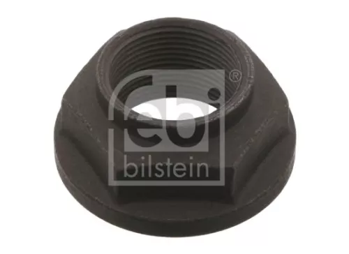 FEBI BILSTEIN 25x Nut (01100)