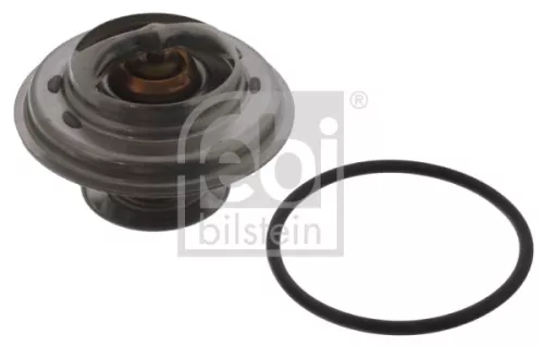 1x Thermostat, coolant