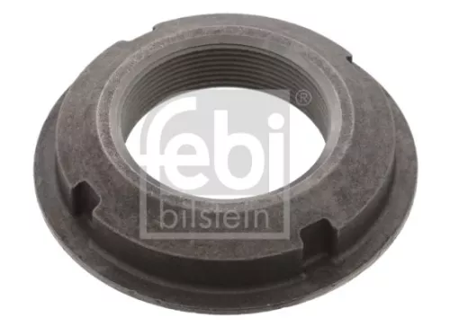 FEBI BILSTEIN 10x Nut, kingpin (05962)