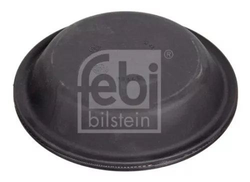 FEBI BILSTEIN 10x Diaphragm, diaphragm brake cylinder (07098)