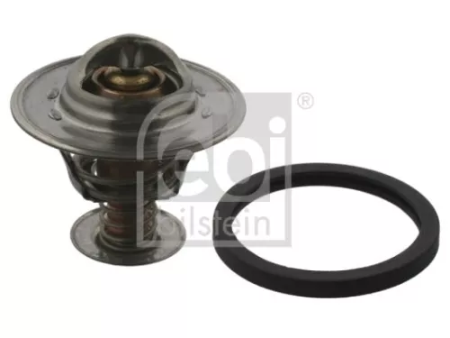 1x Thermostat, coolant