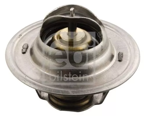 1x Thermostat, coolant