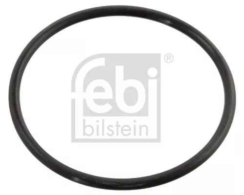 FEBI BILSTEIN 100x Seal, thermostat (10258)