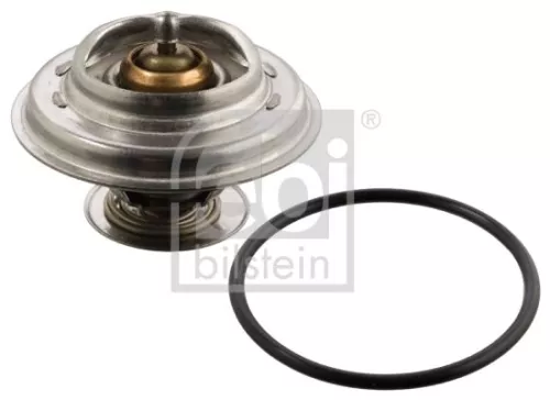 1x Thermostat, coolant
