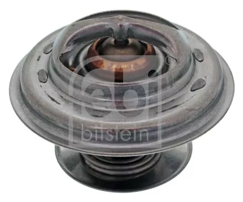 1x Thermostat, coolant