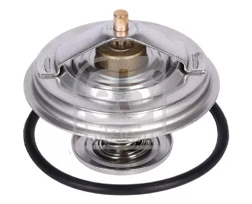 1x Thermostat, coolant