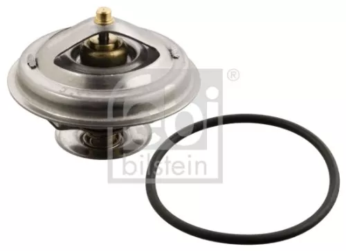 1x Thermostat, coolant