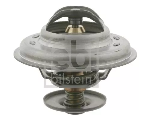 1x Thermostat, coolant