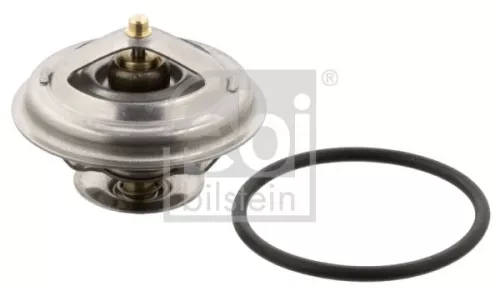 1x Thermostat, coolant