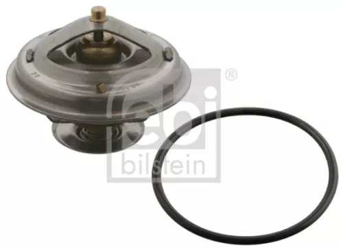 1x Thermostat, coolant