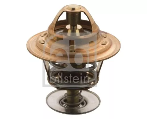 1x Thermostat, coolant