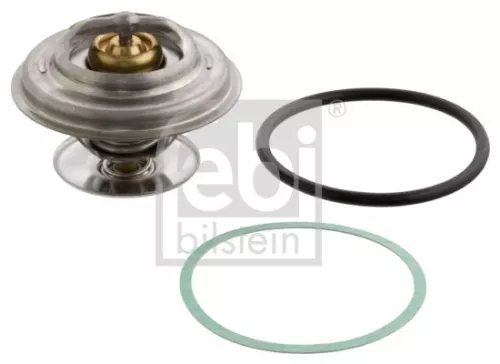 1x Thermostat, coolant