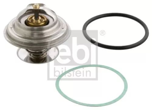 1x Thermostat, coolant