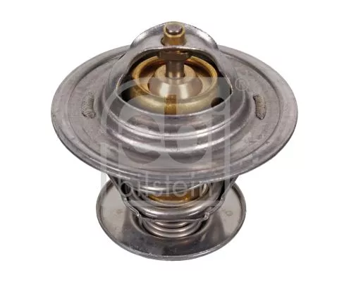 1x Thermostat, coolant
