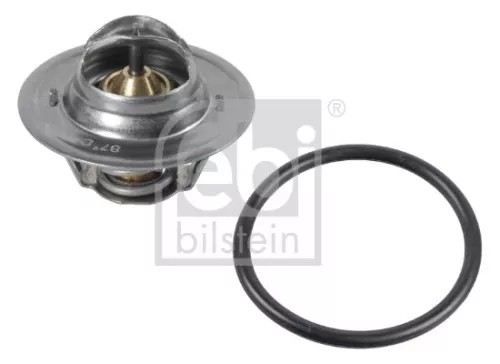 1x Thermostat, coolant