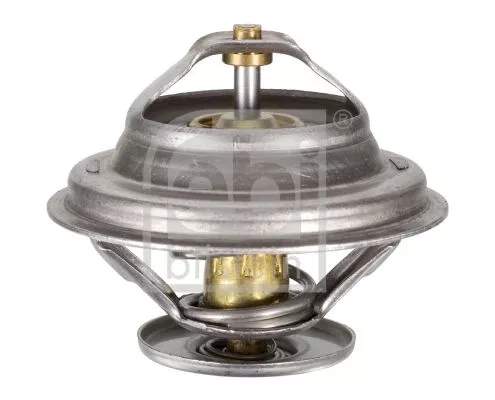 1x Thermostat, coolant