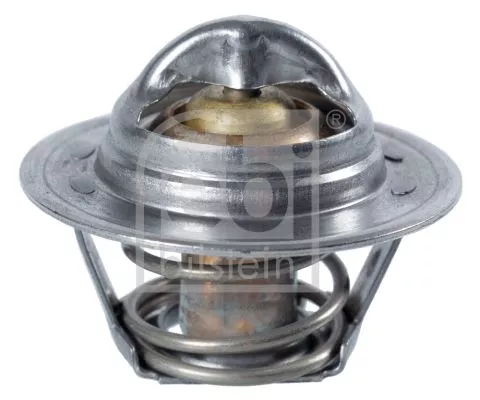 1x Thermostat, coolant