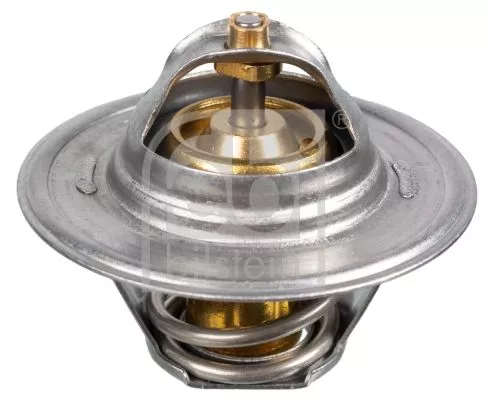 1x Thermostat, coolant