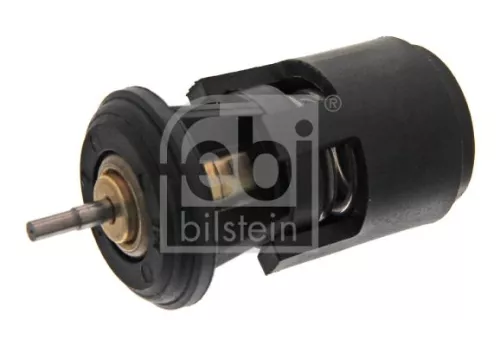 1x Thermostat, coolant