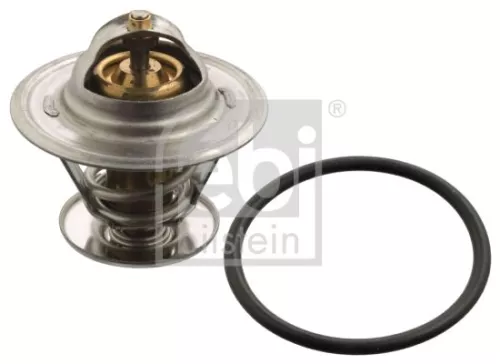 1x Thermostat, coolant