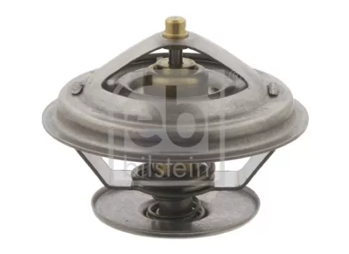 1x Thermostat, coolant