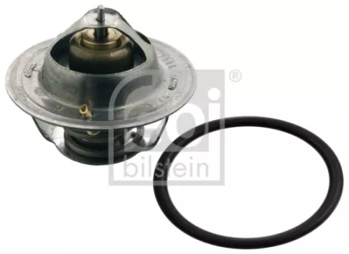 1x Thermostat, coolant