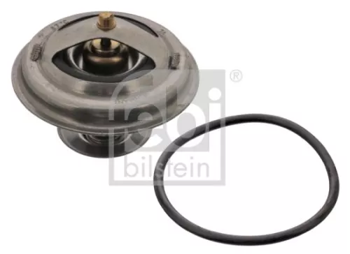 1x Thermostat, coolant