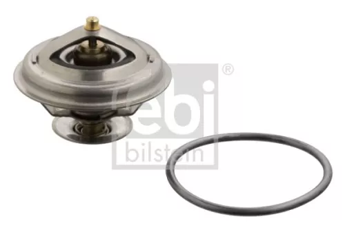 1x Thermostat, coolant