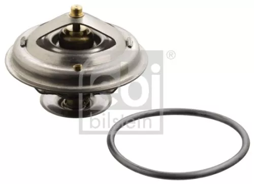 1x Thermostat, coolant
