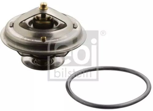 1x Thermostat, coolant