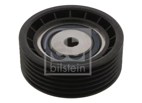 1x Deflection/Guide Pulley, V-ribbed belt