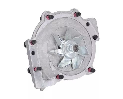FEBI BILSTEIN 1x Water Pump, engine cooling (23303)