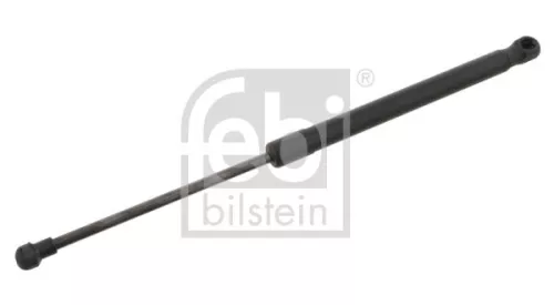 1x Gas Spring, bonnet