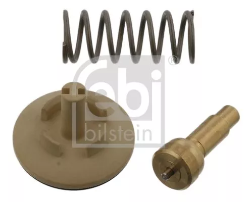 1x Thermostat, coolant