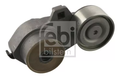 1x Belt Tensioner, V-ribbed belt