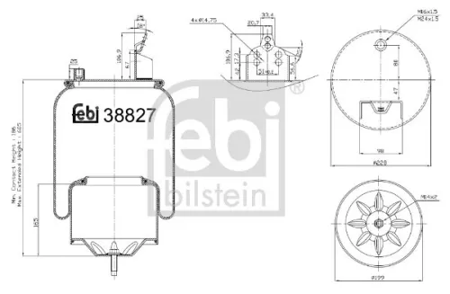 1x Bellow, air suspension