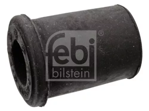 1x Bushing, leaf spring