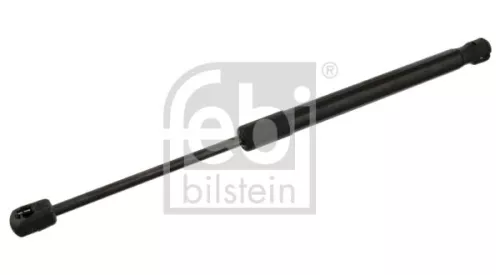 1x Gas Spring, bonnet