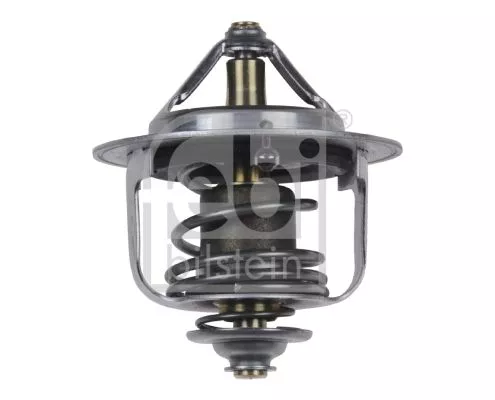 1x Thermostat, coolant