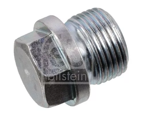 1x Screw Plug, oil sump