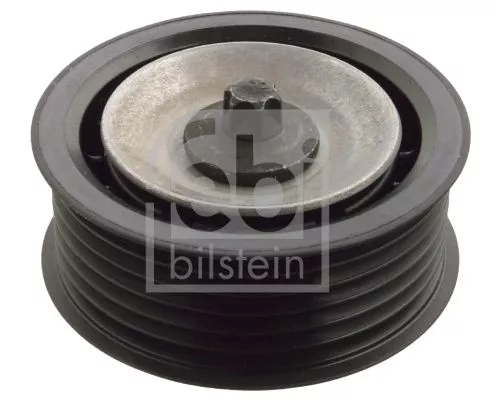 1x Deflection/Guide Pulley, V-ribbed belt