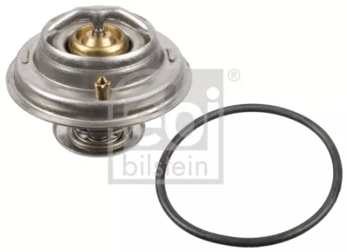 1x Thermostat, coolant